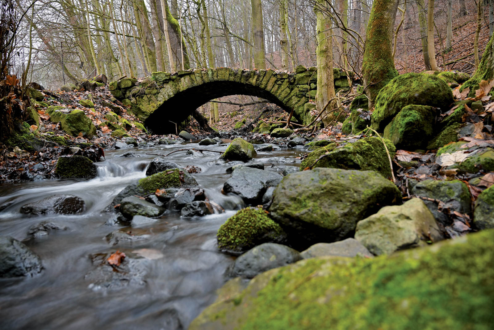 Chutě a vůně Českého středohoří 1 [Lovosice]