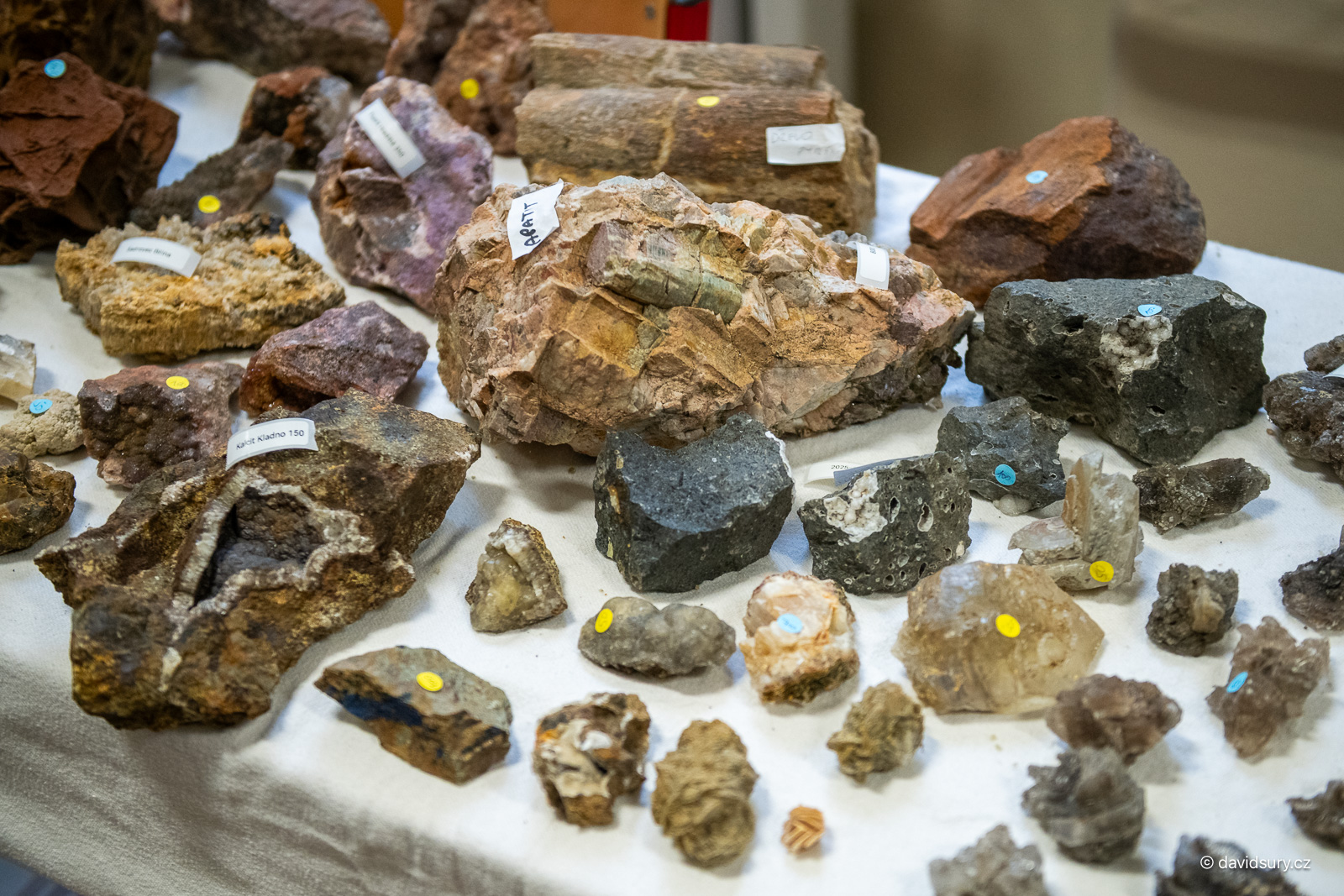Burza minerálů a zkamenělin 2026 [Teplice]